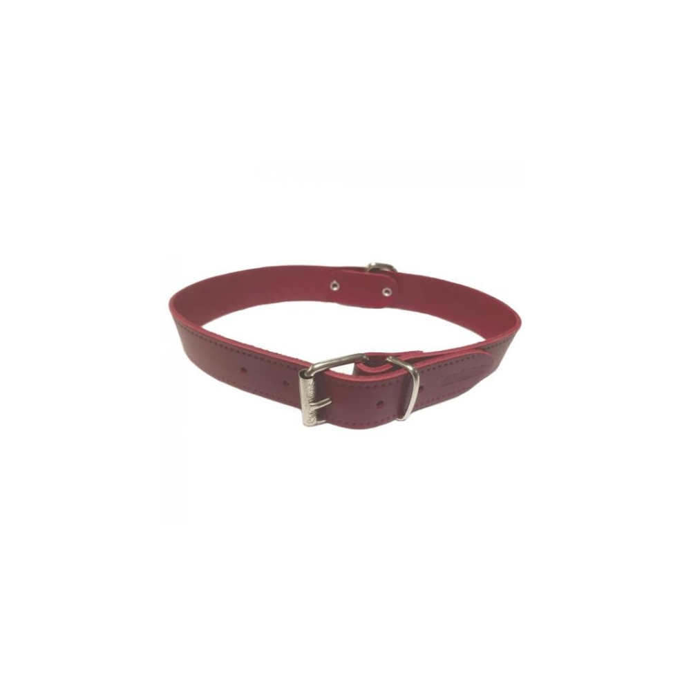 COLLAR CUERO LISO 20X450MM.ROJO S.D