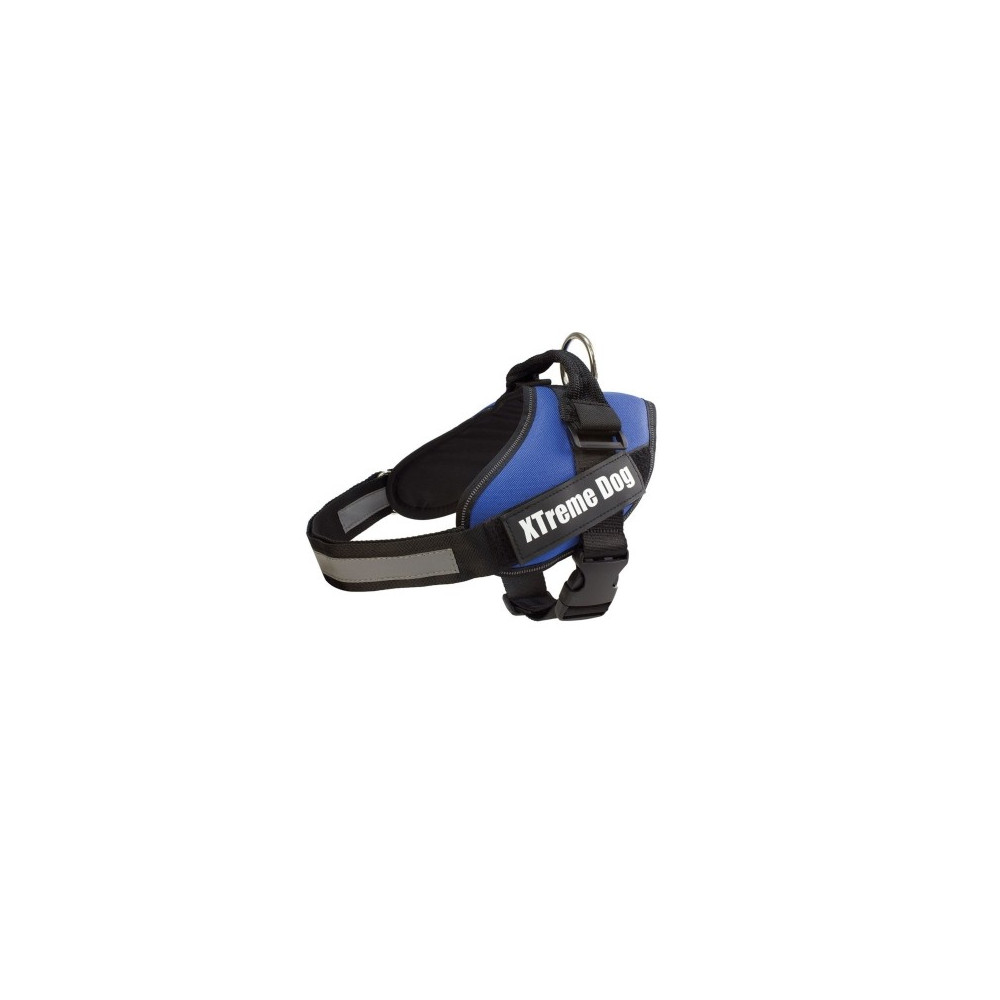 ARNES XTREME DOG AZUL S (50-64cm)