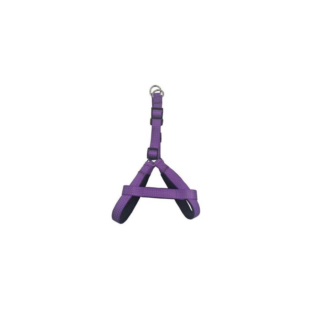 ARNES NYLON MORADO 2 x 45-55 cm.