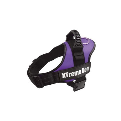 ARNES XTREME DOG LILA S (50-64cm)