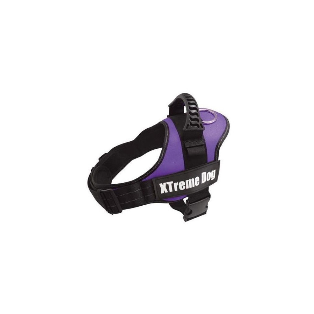 ARNES XTREME DOG LILA S (50-64cm)