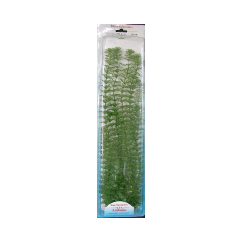 PLANTA AMBULIA PLUS (28-33CM)