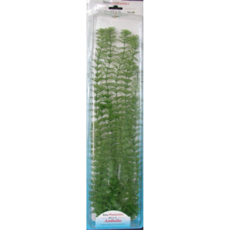 PLANTA AMBULIA PLUS (28-33CM)