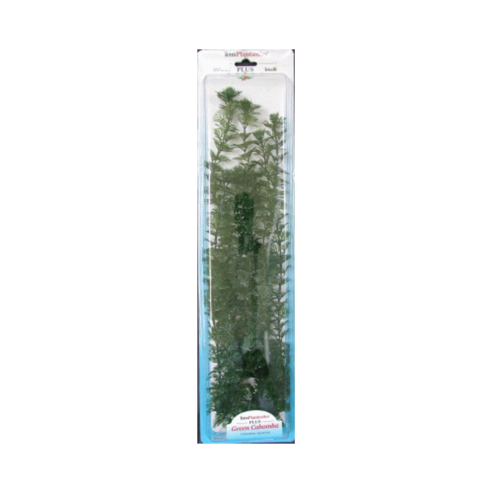 PLANTA CABOMBA PLUS (28-33CM) L