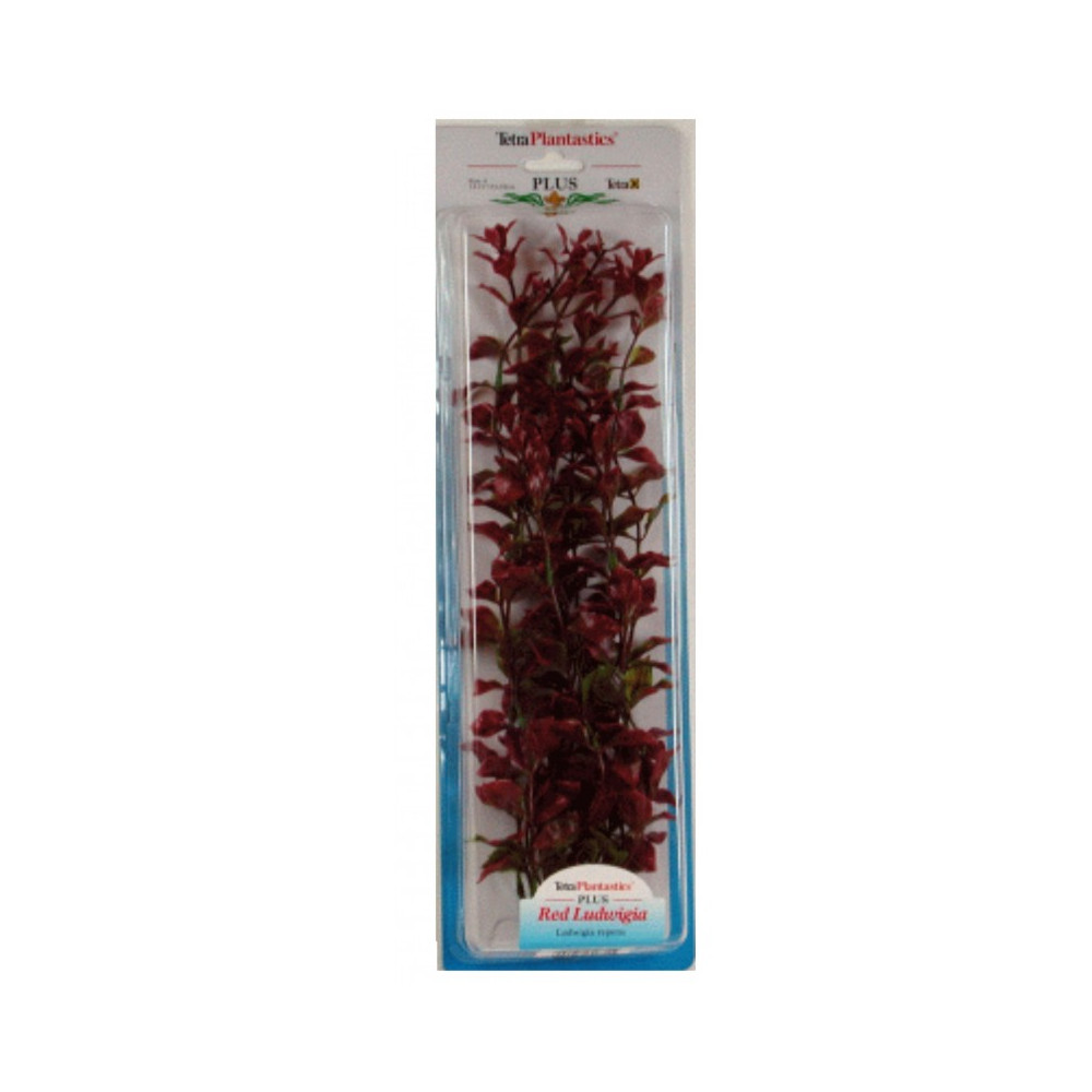 PLANTA RED LUWIGIA (35-38CM)