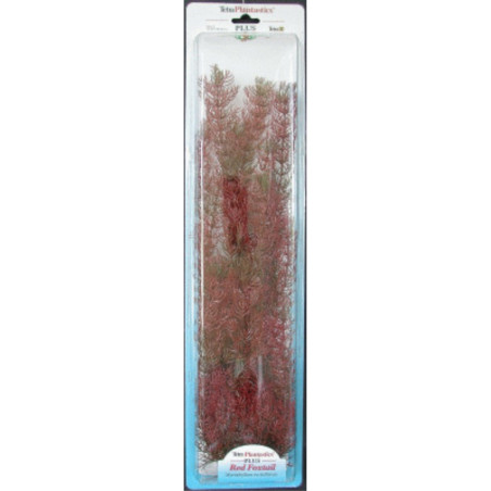 PLANTA FOXTAIL PLUS (35-38CM)