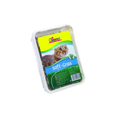 HIERBA GATO VITAMINADA CON TGOS 100gr.GIMPET