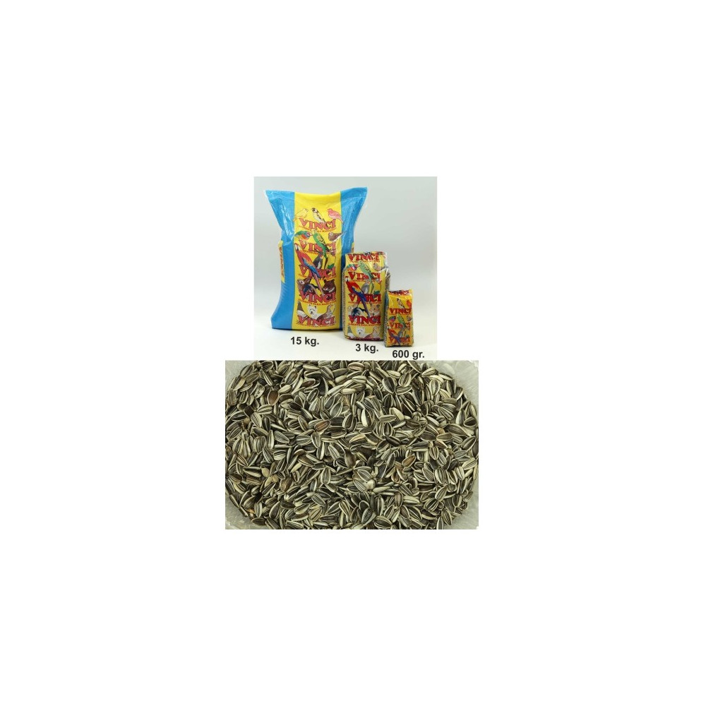 PIPAS IREGUI VINCI 3 KG. -3-