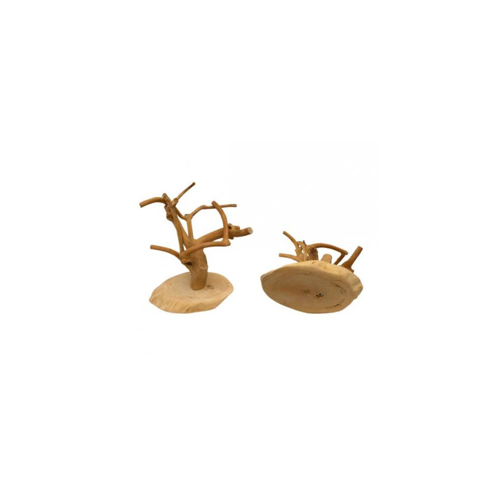 JAVA MINI Tree, Coffeewood Base-XS