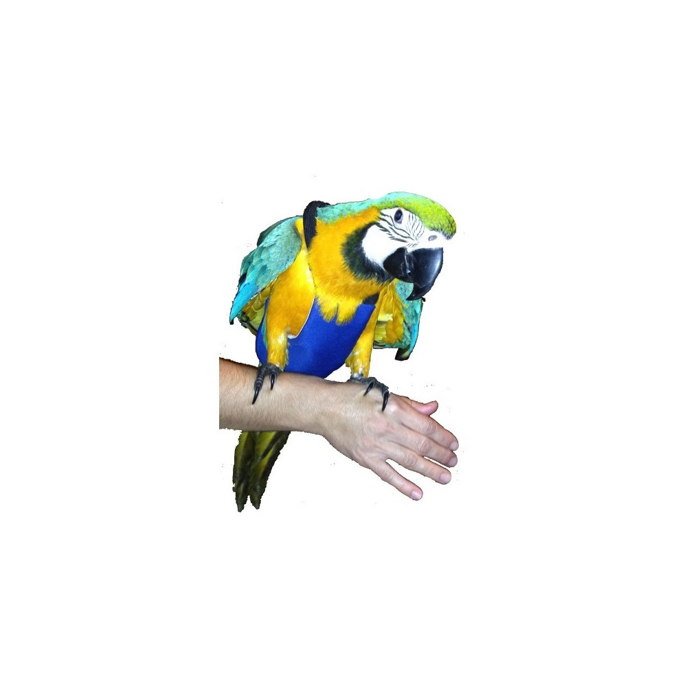 PAÑAL PARA GUACAMAYO