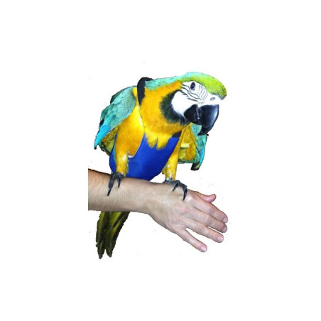 PAÑAL PARA GUACAMAYO