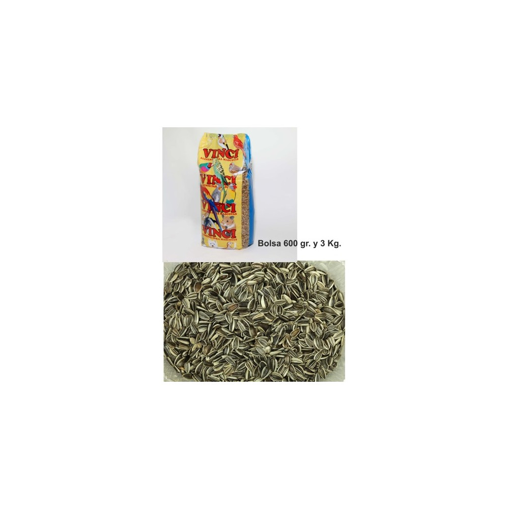 PIPAS IREGUI VINCI  600 GR.  -12-