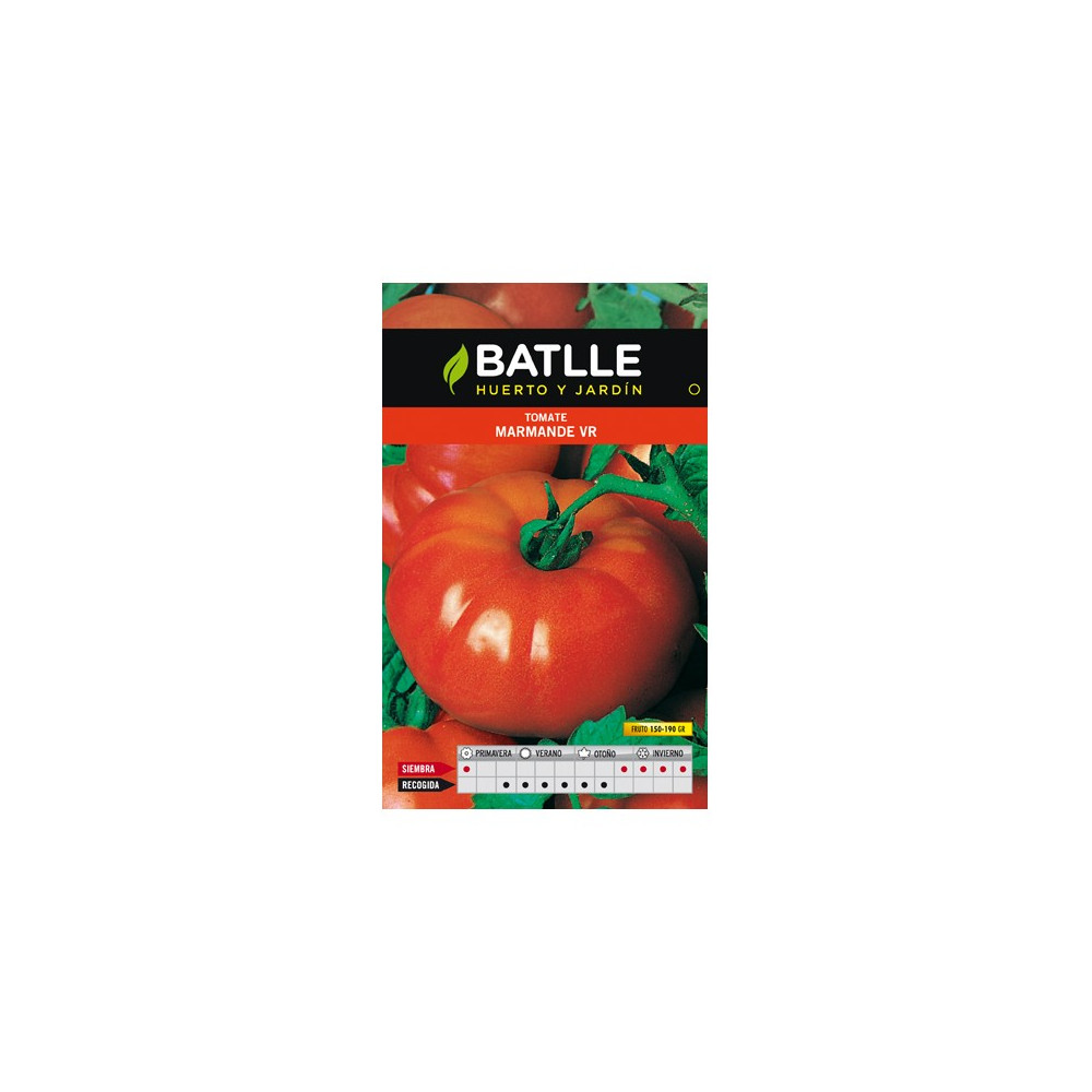 TOMATE MARMANDE VR.HOLANDA SOBRE