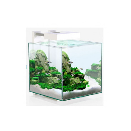 ACUARIO CUBE AQUA 15 LED