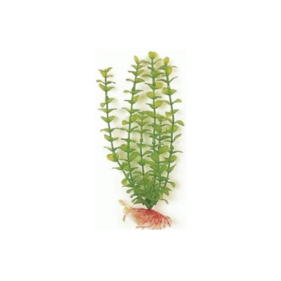 GREEN BACOPA 20 CM. PLANTA ACUARIO